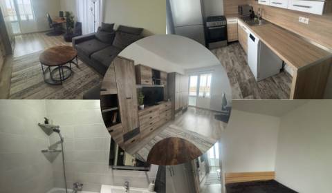 Rent One bedroom apartment, One bedroom apartment, Joliota Curieho, Po