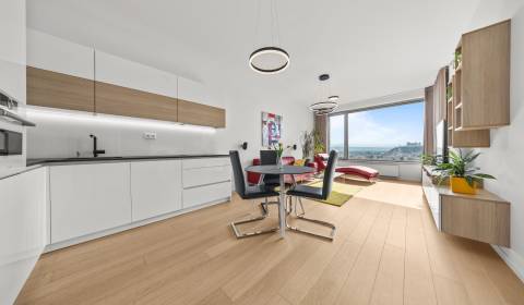 Rent One bedroom apartment, One bedroom apartment, Čulenova, Bratislav