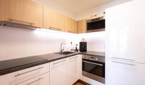 Rent One bedroom apartment, One bedroom apartment, Bratislava I, Slova