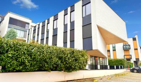 Sale Commercial premises, Commercial premises, Na varte, Bratislava -