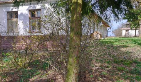 Sale Cottage, Cottage, Trnava, Slovakia