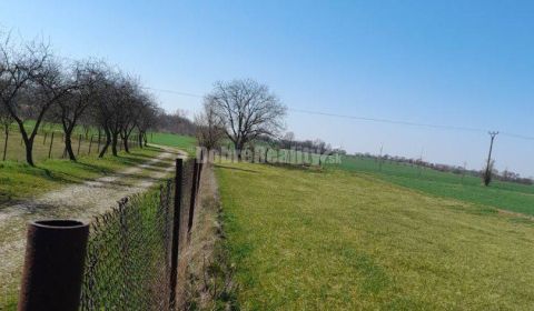 Sale Land – for living, Land – for living, Nové Zámky, Slovakia