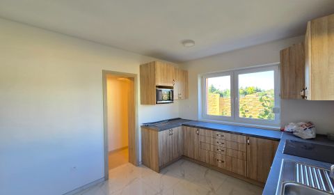 Sale Family house, Family house, Nové Mesto nad Váhom, Slovakia
