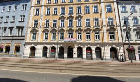 Commercial spaces, 228 m2, Sturova Street