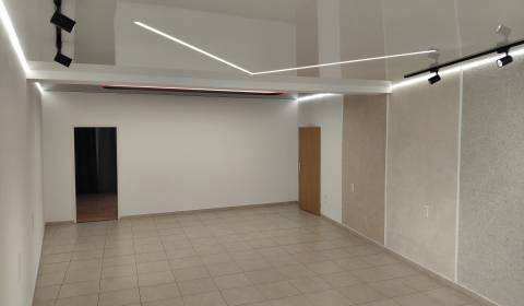 Rent Commercial premises, Commercial premises, Hálkova, Bratislava - N