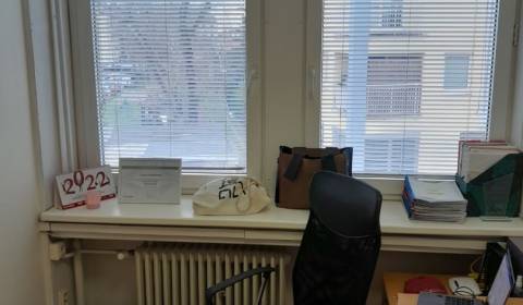 Rent Offices, Offices, Pluhová, Bratislava - Nové Mesto, Slovakia