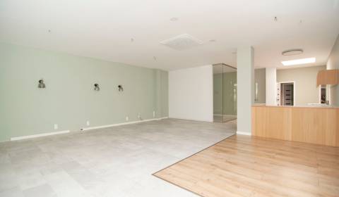 Sale Commercial premises, Commercial premises, Záhradnícka, Bratislava