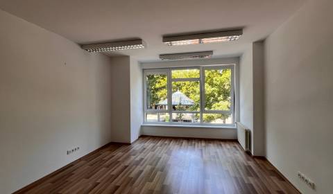 Rent Offices, Offices, Hviezdoslavovo nám., Bratislava - Staré Mesto, 