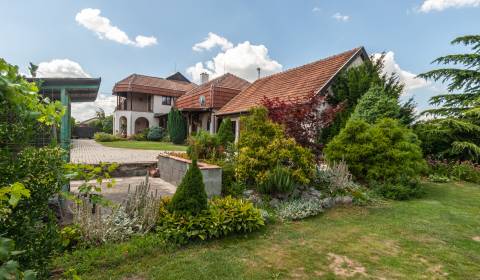 Sale Family house, Family house, Nové Zámky, Slovakia
