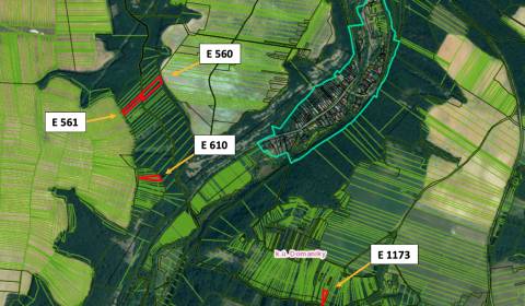 Sale Agrarian and forest land, Agrarian and forest land, Krupina, Slov