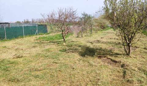 Sale Land – for living, Land – for living, Dunajská Streda, Slovakia