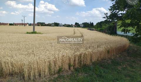 Sale Land – for living, Dunajská Streda, Slovakia