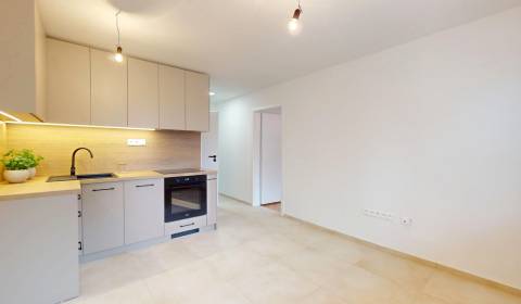 Rent One bedroom apartment, One bedroom apartment, Pod kaštieľom, Ilav