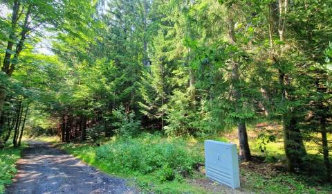 Sale Recreational land, Recreational land, Brezno, Slovakia