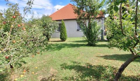 Sale Family house, Family house, Selice, Šaľa, Slovakia