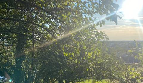 Sale Land – for living, Land – for living, Malacká cesta, Malacky, Slo