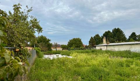 Sale Land – for living, Land – for living, Tichá, Dunajská Streda, Slo