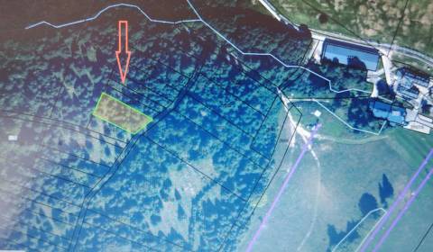 Sale Agrarian and forest land, Agrarian and forest land, Brezno, Slova