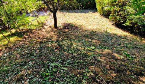 Sale Gardens, Gardens, Nitra, Slovakia