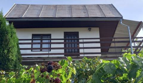 Sale Cottage, Cottage, Trenčín, Slovakia