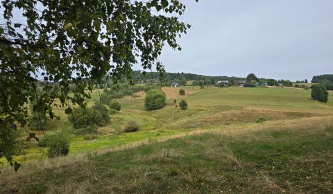 Sale Recreational land, Recreational land, Bratkovica, Detva, Slovakia