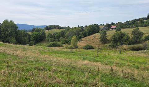 Sale Recreational land, Recreational land, Bratkovica, Detva, Slovakia