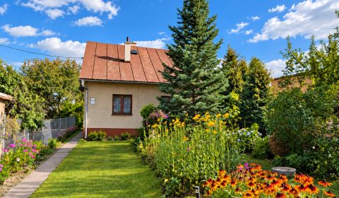 Sale Family house, Family house, Čadca, Slovakia