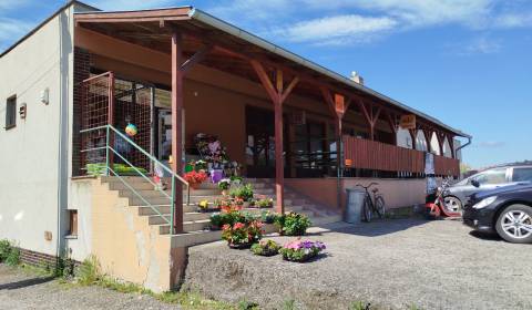 Sale Commercial premises, Commercial premises, Levice, Slovakia