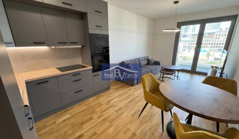 Rent One bedroom apartment, One bedroom apartment, Bottova, Bratislava