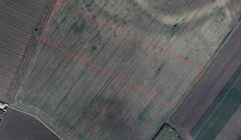 Sale Agrarian and forest land, Agrarian and forest land, Senec, Slovak