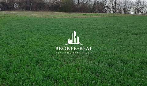 Sale Land – for living, Land – for living, Gönc, Hungary