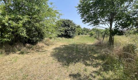 Sale Land – for living, Land – for living, Nové Zámky, Slovakia