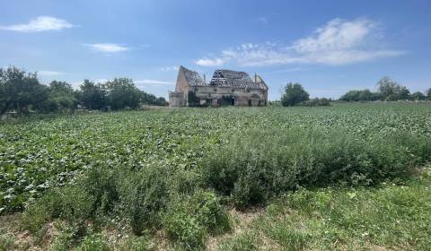 Sale Land – for living, Land – for living, Nové Zámky, Slovakia
