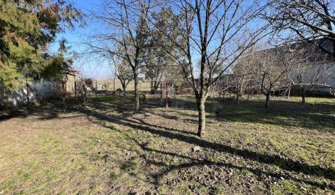 Sale Gardens, Gardens, Nové Zámky, Slovakia