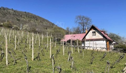 Sale Cottage, Cottage, Rožňava, Slovakia