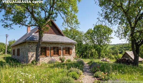 Sale Family house, Family house, Krupina, Slovakia
