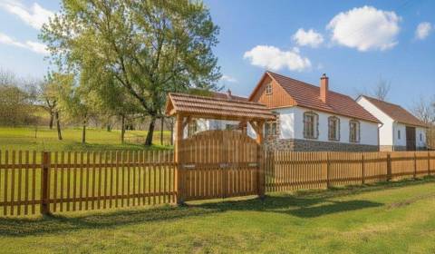 Sale Family house, Family house, Veľký Krtíš, Slovakia