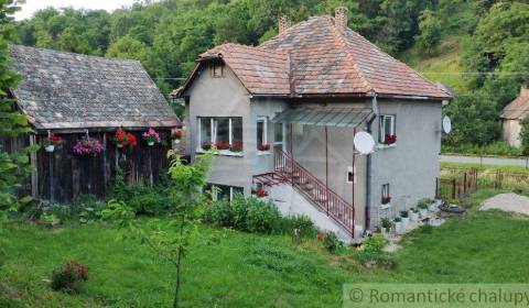 Sale Family house, Family house, Veľký Krtíš, Slovakia