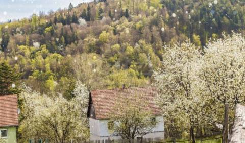 Sale Family house, Family house, Detva, Slovakia