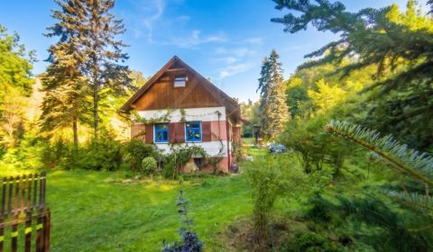 Sale Family house, Family house, Detva, Slovakia