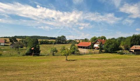Sale Family house, Family house, Veľký Krtíš, Slovakia