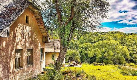 Sale Family house, Family house, Zvolen, Slovakia