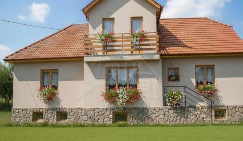 Sale Family house, Family house, Lučenec, Slovakia