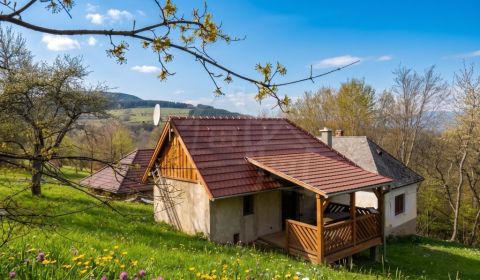 Sale Family house, Family house, Lučenec, Slovakia