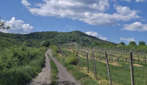 Sale Cottage, Cottage, Veľký Krtíš, Slovakia