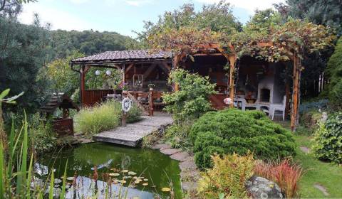 Sale Cottage, Cottage, Detva, Slovakia