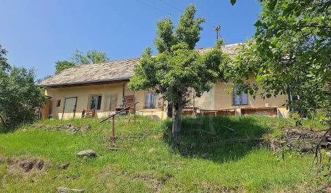Sale Family house, Family house, Krupina, Slovakia
