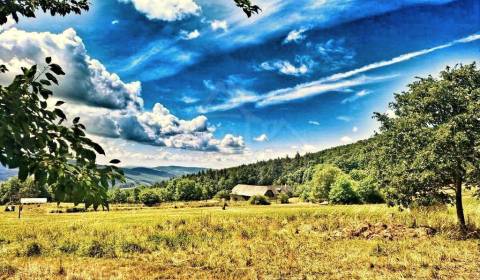 Sale Family house, Family house, Zvolen, Slovakia