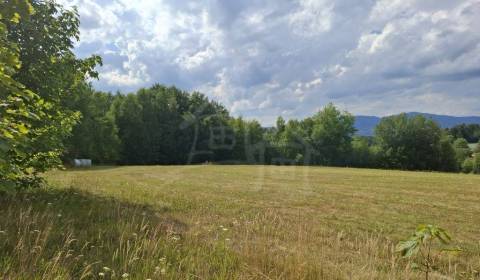 Sale Cottage, Cottage, Detva, Slovakia