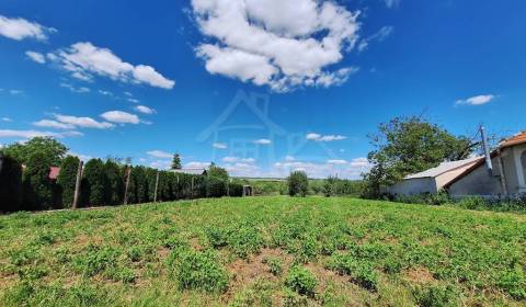 Sale Gardens, Gardens, Nové Zámky, Slovakia